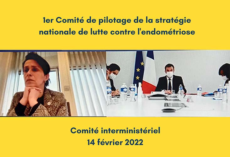 1er comité pilotage